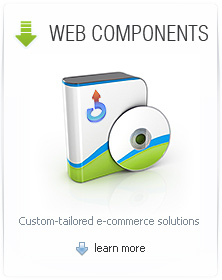 Web and software development for E-commerce and 360 photography software