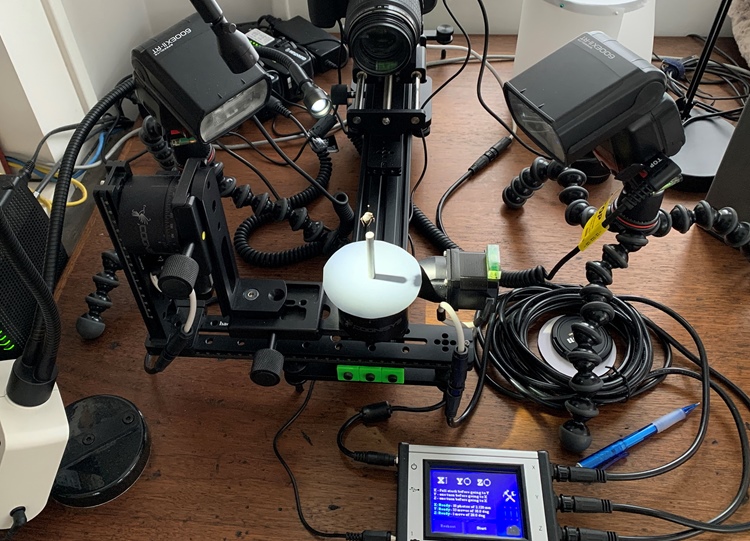 Ento360: Virtual Insect Specimens