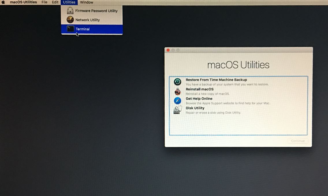 Терминал macos